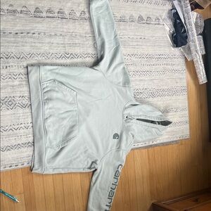 Carhartt Light Gray/Blue Hoodie
